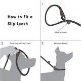 2 In 1 Reflective Adjustable Slip Rope Dog Leash-Wiggleez-White-S - 1.2M-Wiggleez