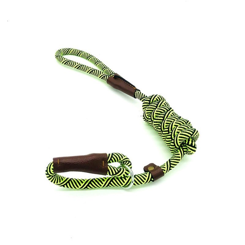 2 In 1 Reflective Adjustable Slip Rope Dog Leash-Wiggleez-Green-S - 1.2M-Wiggleez