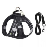 Adjustable Outdoor Dog Harness Leash Set for Small Dogs-Wiggleez-black-XXS 1-2 kg-Wiggleez