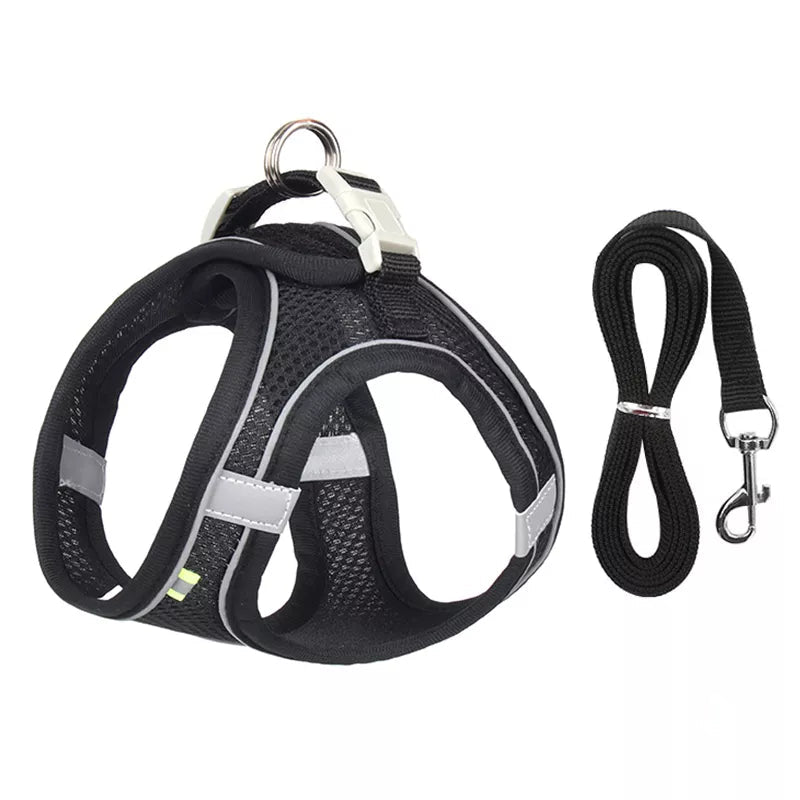 Adjustable Outdoor Dog Harness Leash Set for Small Dogs-Wiggleez-black-XXS 1-2 kg-Wiggleez
