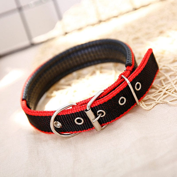 Adjustable Soft Pet Collars-Wiggleez-Black Red Edge-S 1.5x45CM-Wiggleez
