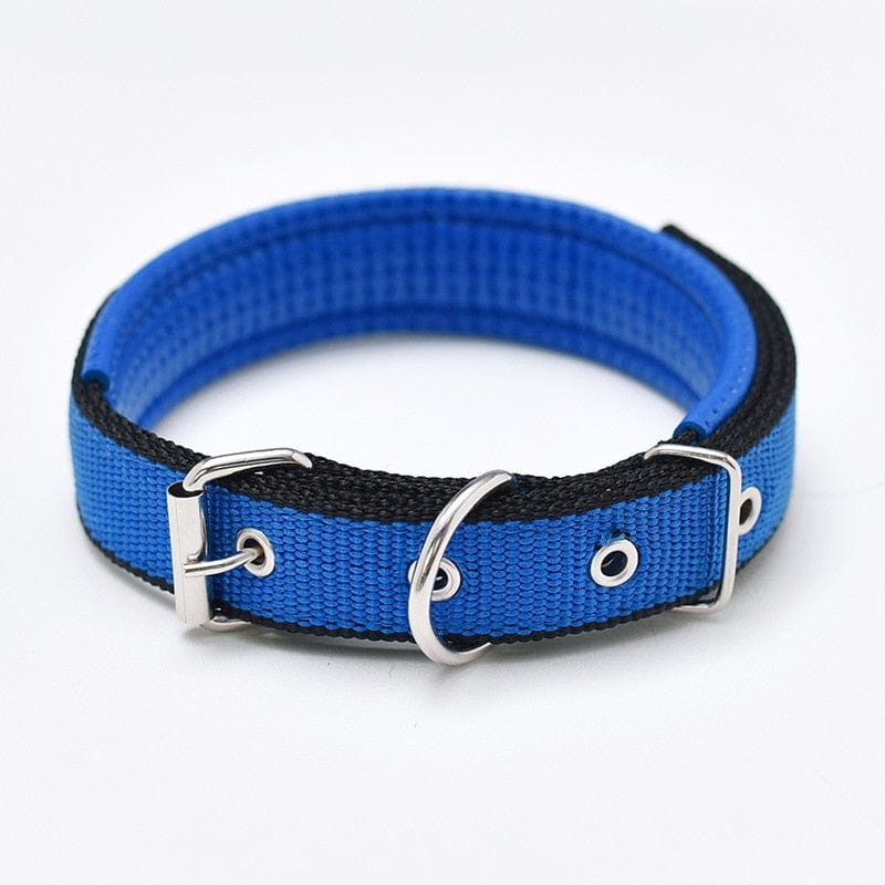 Adjustable Soft Pet Collars-Wiggleez-Blue Black Edge-S 1.5x45CM-Wiggleez