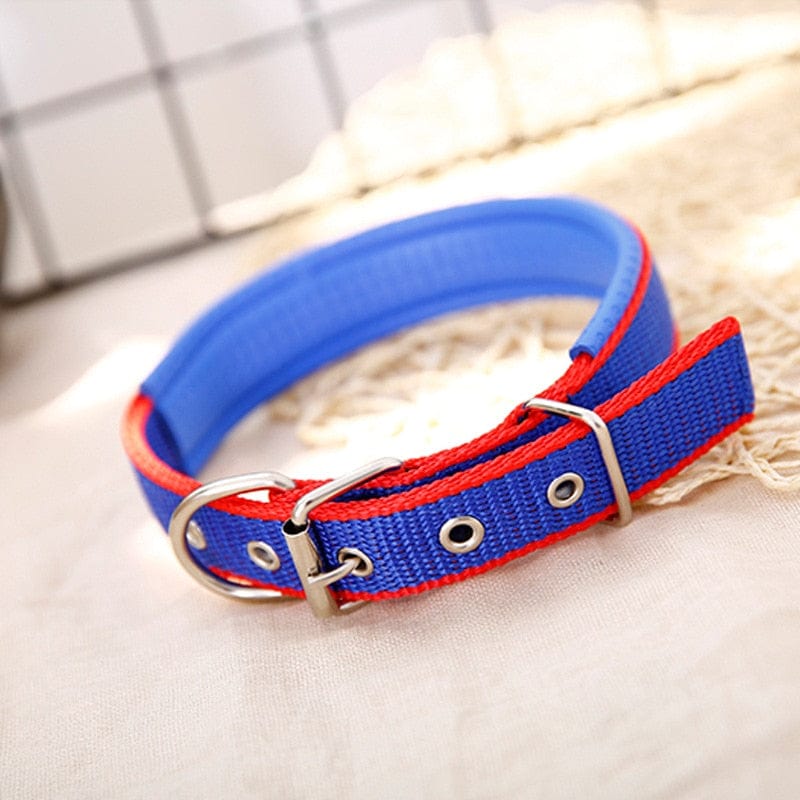 Adjustable Soft Pet Collars-Wiggleez-Blue Red Edge-S 1.5x45CM-Wiggleez