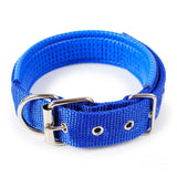 Adjustable Soft Pet Collars-Wiggleez-Blue-S 1.5x45CM-Wiggleez