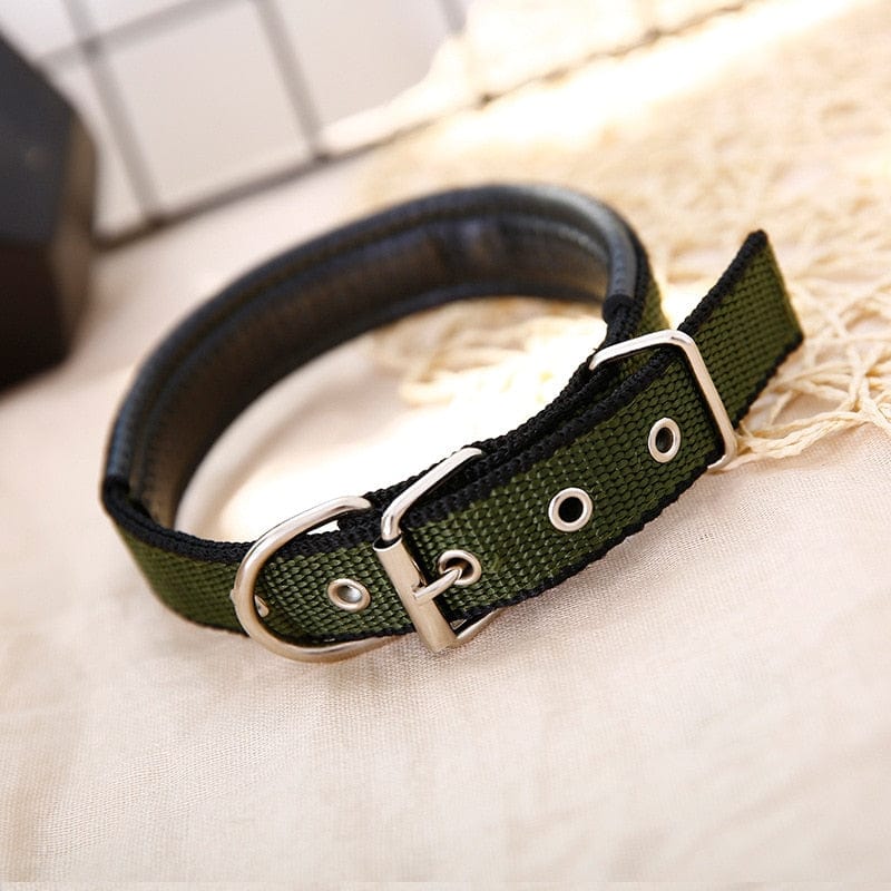 Adjustable Soft Pet Collars-Wiggleez-Green Black Edge-S 1.5x45CM-Wiggleez
