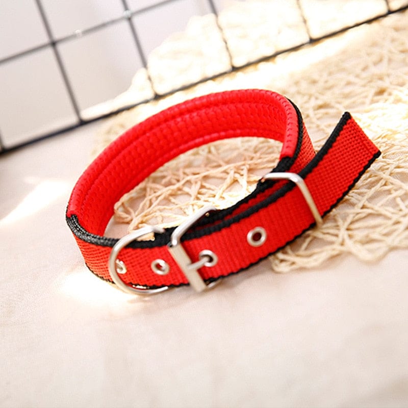 Adjustable Soft Pet Collars-Wiggleez-Red Black Edge-S 1.5x45CM-Wiggleez