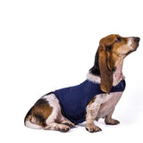 Anti Anxiety Dog Vest Jacket-Wiggleez-Blue-XS-Wiggleez