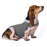 Anti Anxiety Dog Vest Jacket-Wiggleez-Grey-XS-Wiggleez