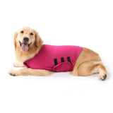 Anti Anxiety Dog Vest Jacket-Wiggleez-Pink-XS-Wiggleez