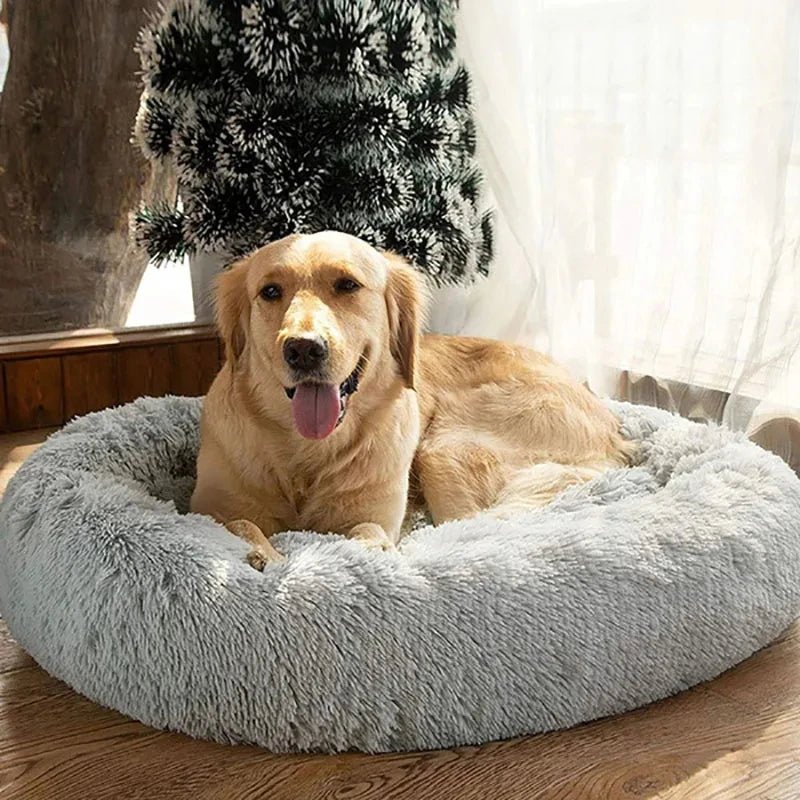 Anti Anxiety Warm Cozy Dog Calming Round Donut Bed-Wiggleez-White-M- 20 in-Wiggleez