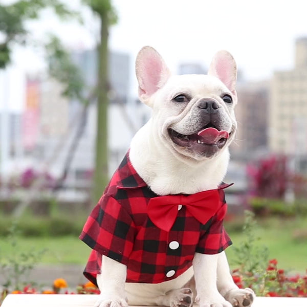 Bowtie Dog T-Shirts-Wiggleez-Red-XS-Wiggleez