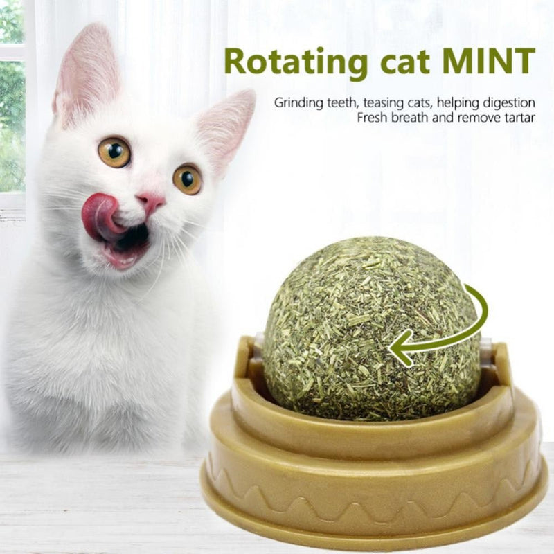 Catnip Cat Teeth Cleaning Mint Wall Stick-on Ball-Wiggleez-Green-Wiggleez