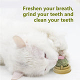 Catnip Cat Teeth Cleaning Mint Wall Stick-on Ball-Wiggleez-Green-Wiggleez