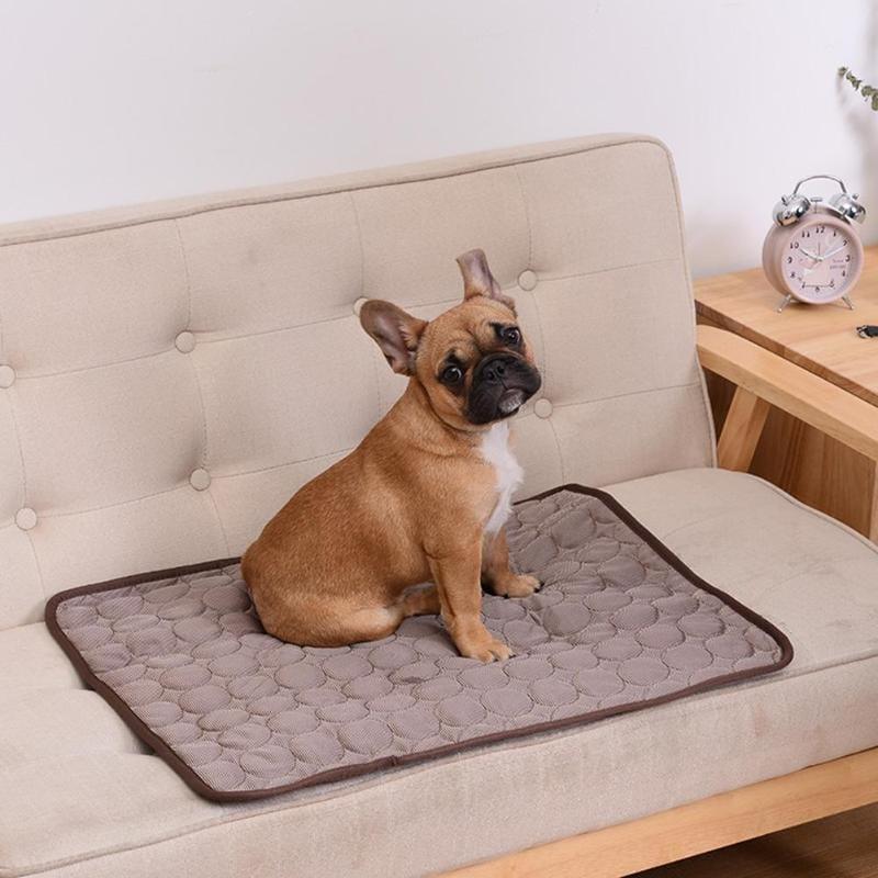 Cooling Dog Washable Mat-Wiggleez-Blue-XS 40x30 cm-Wiggleez