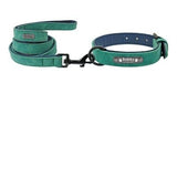 Custom Personalized Premium Leather Dog Collars & Leash Dogs-Wiggleez-Green Set-S-Wiggleez