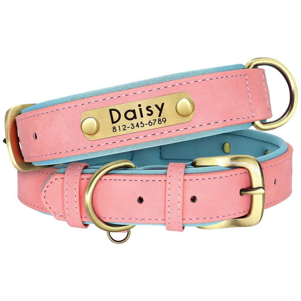 Customized Leather Engraved Soft Dog Collar-Wiggleez-Pink-XS-Wiggleez