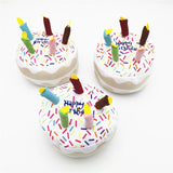 Cute Birthday Cake Dog Toy-Wiggleez-Cupcake-Wiggleez