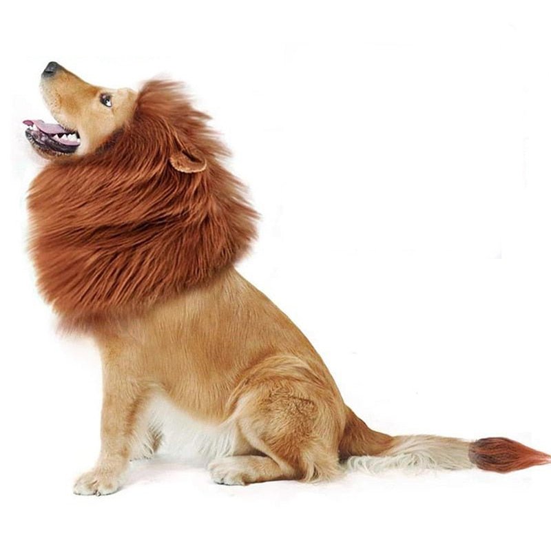 Cute Lion Mane Wig For Dogs and Cats-Wiggleez-Light Brown-Wiggleez