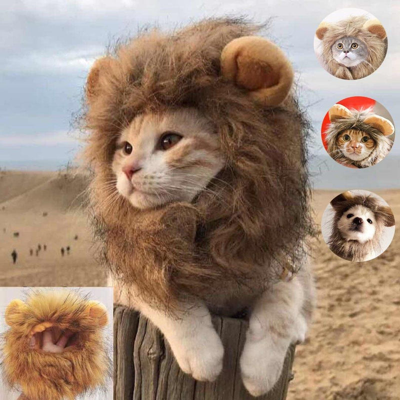 Cute Lion Wig for Cat and Small dogs-Wiggleez-Gray-S-Wiggleez