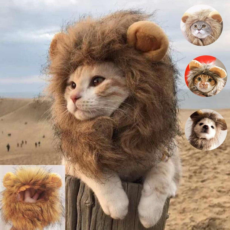 Cute Lion Wig for Cat and Small dogs-Wiggleez-Gray-S-Wiggleez