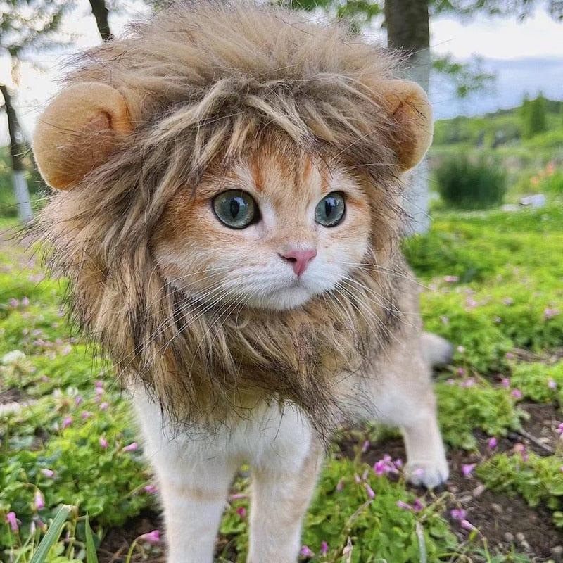 Cute Lion Wig for Cat and Small dogs-Wiggleez-Gray-S-Wiggleez
