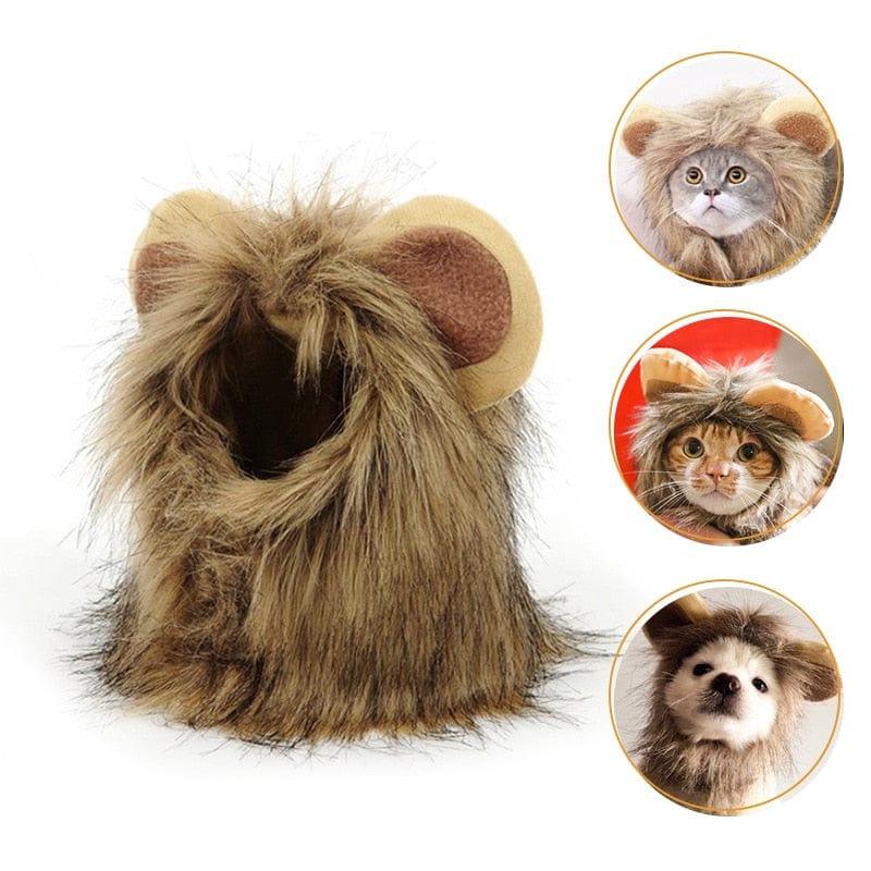 Cute Lion Wig for Cat and Small dogs-Wiggleez-Gray-S-Wiggleez