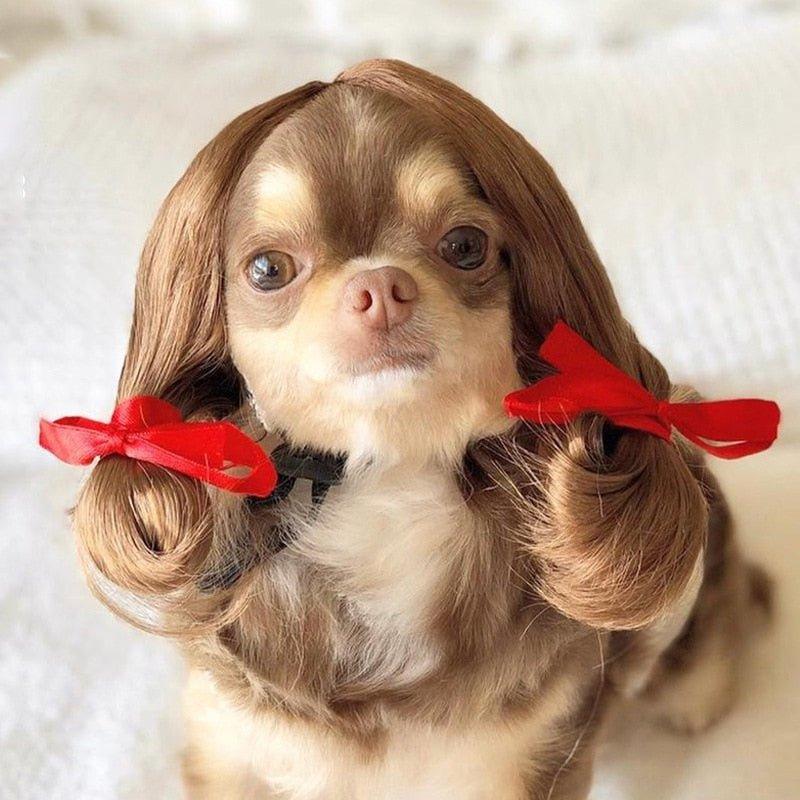 Cute Lion Wig for Cat and Small dogs-Wiggleez-Brown Long-M-Wiggleez