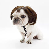 Cute Lion Wig for Cat and Small dogs-Wiggleez-Brown Short-M-Wiggleez
