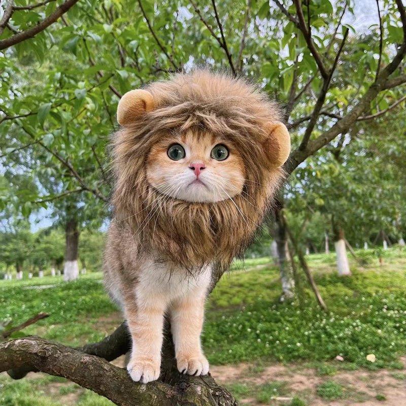 Cute Lion Wig for Cat and Small dogs-Wiggleez-Gray-S-Wiggleez