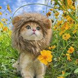 Cute Lion Wig for Cat and Small dogs-Wiggleez-Gray-S-Wiggleez
