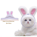 Cute Rabbit Ears Cap for Cats-Wiggleez-White-Wiggleez