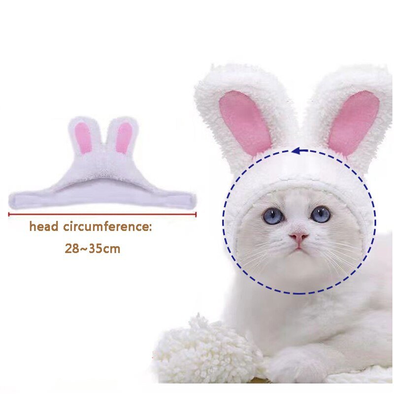 Cute Rabbit Ears Cap for Cats-Wiggleez-White-Wiggleez