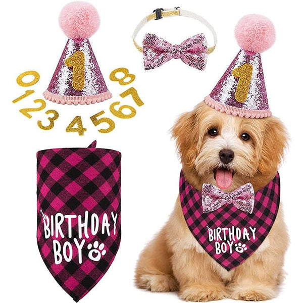 Dog Birthday Bandana Scarf-Wiggleez-Pink Set-Wiggleez