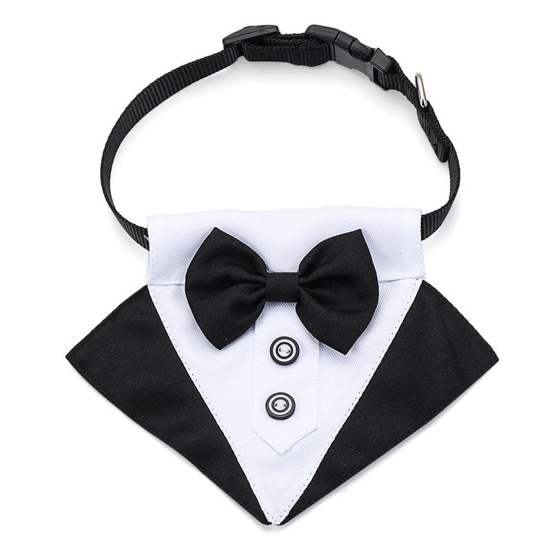 Dog Suit Tuxedo-Wiggleez-Black 1-S-Wiggleez