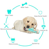 Dog Teeth Cleaning Chew Toy-Wiggleez-Blue-Wiggleez