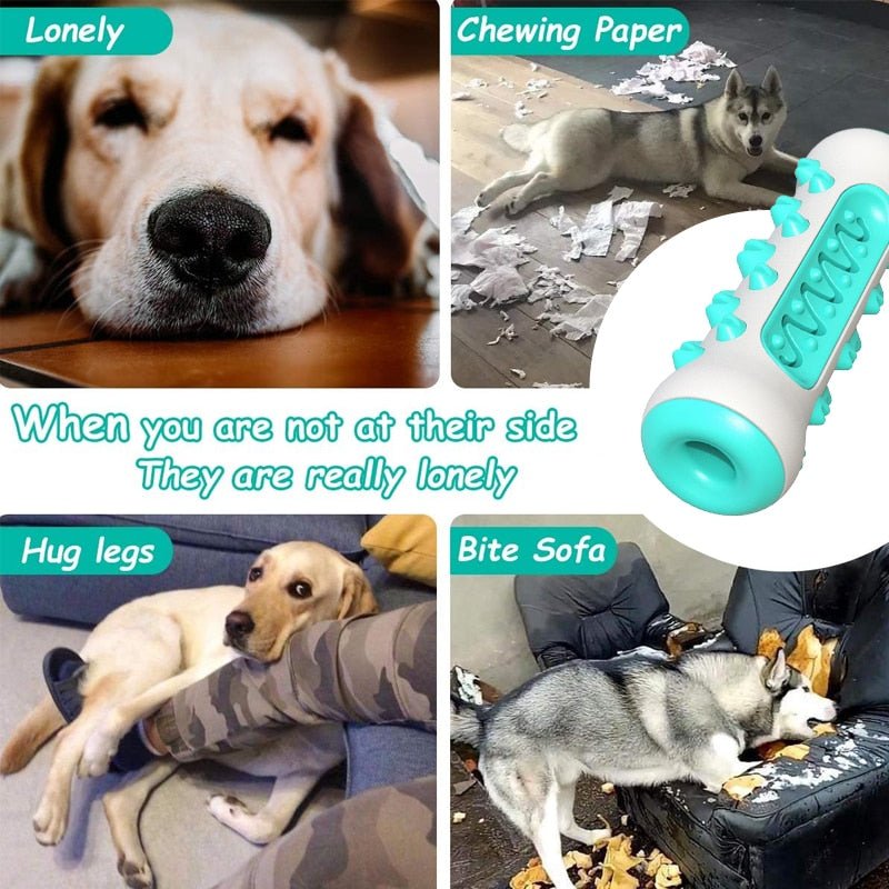 Dog Teeth Cleaning Chew Toy-Wiggleez-Blue-Wiggleez