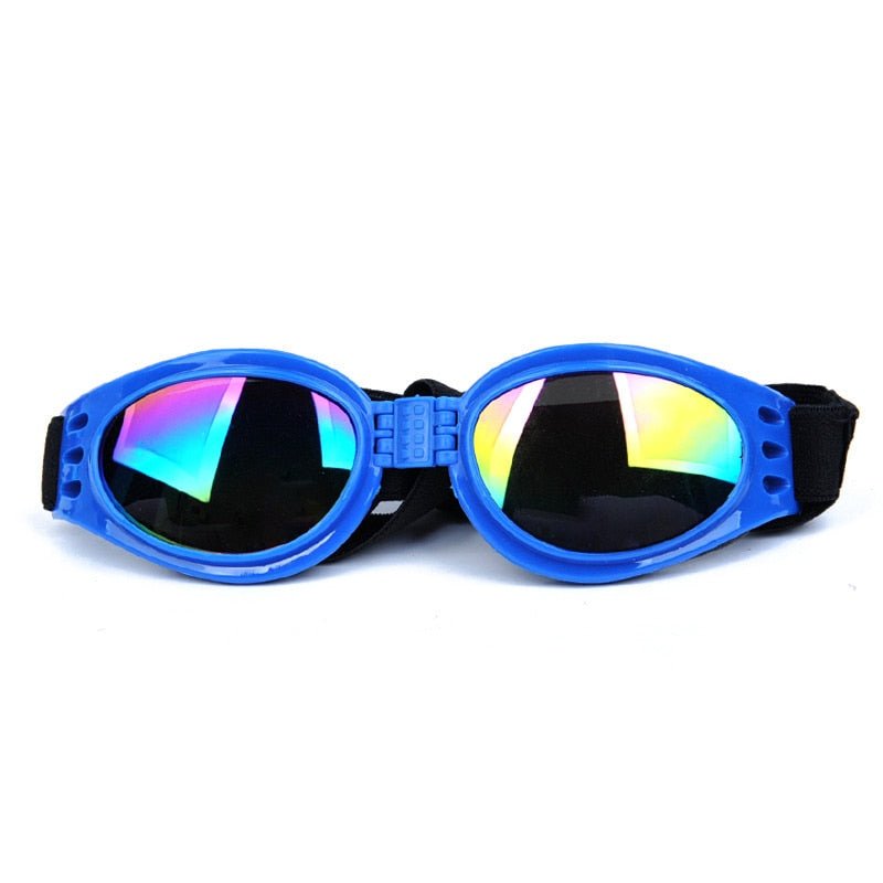 Fashion Dog Goggles-Wiggleez-Blue-Wiggleez