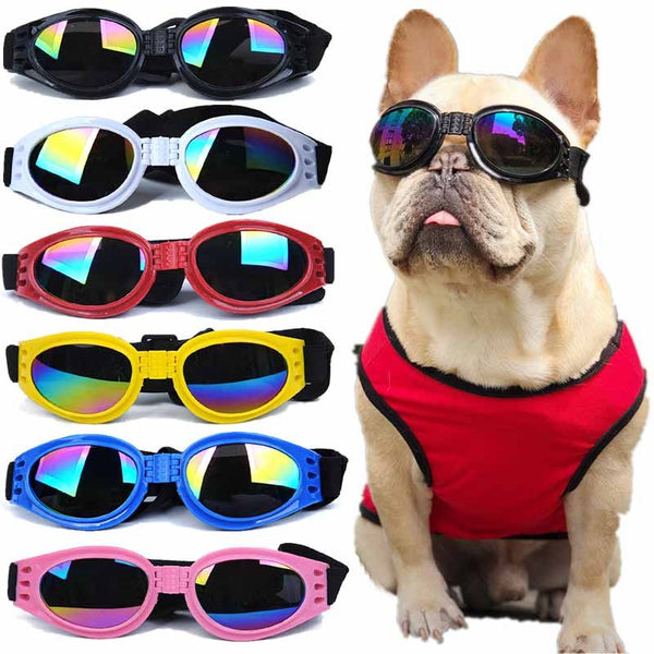 Fashion Dog Goggles-Wiggleez-White-Wiggleez