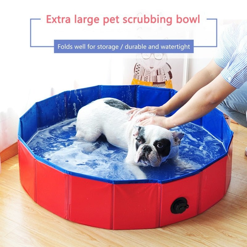 Foldable Dog Swimming Pool-Wiggleez-Red-12 x 4 in-Wiggleez