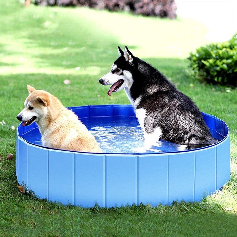 Foldable Dog Swimming Pool-Wiggleez-Blue-12 x 4 in-Wiggleez