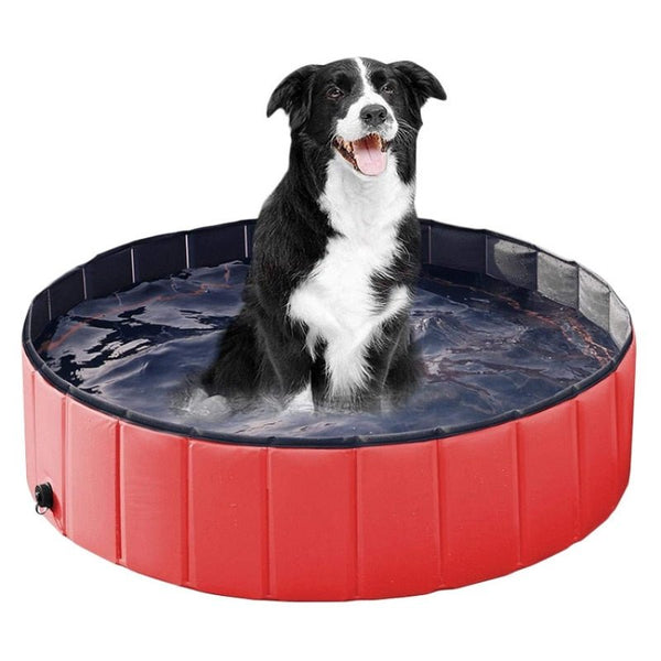 Foldable Dog Swimming Pool-Wiggleez-Red-12 x 4 in-Wiggleez