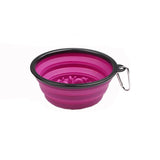 Folding Silicone Dog Bowl-Wiggleez-Slow food purple-Wiggleez