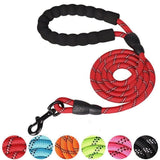 Heavy Duty Dog Reflective Leash With Comfortable Padded Handle-Wiggleez-Black-150cm-Wiggleez