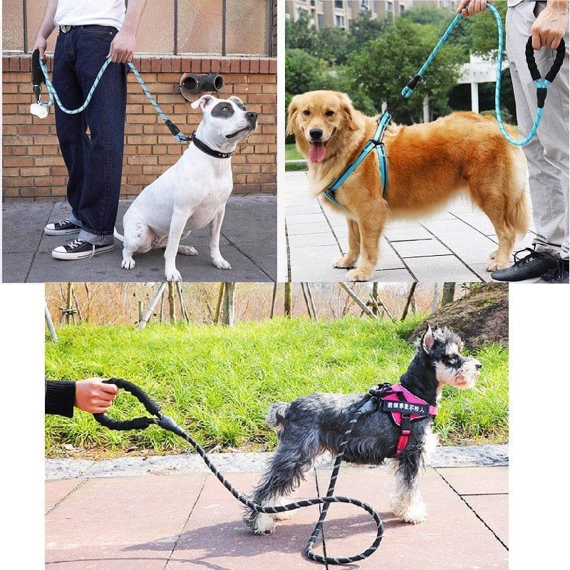 Heavy Duty Dog Reflective Leash With Comfortable Padded Handle-Wiggleez-Black-150cm-Wiggleez