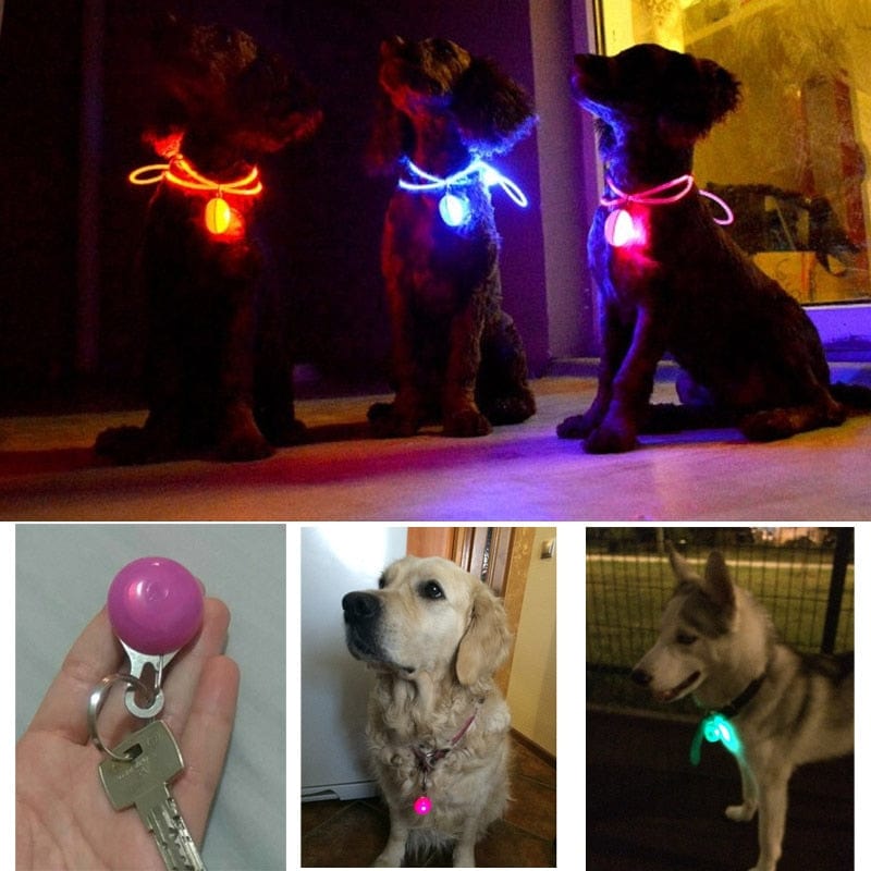 LED Glowing Collar Glowing Pendant-Wiggleez-White-S-Wiggleez