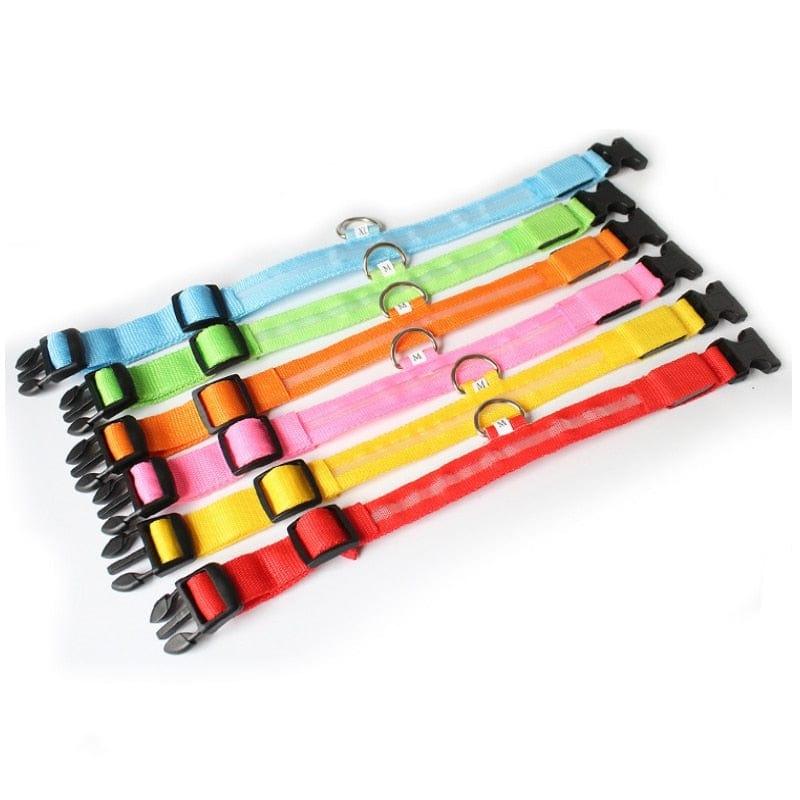 Led Dog Collar Light-Wiggleez-Blue USB charging-XS-Wiggleez