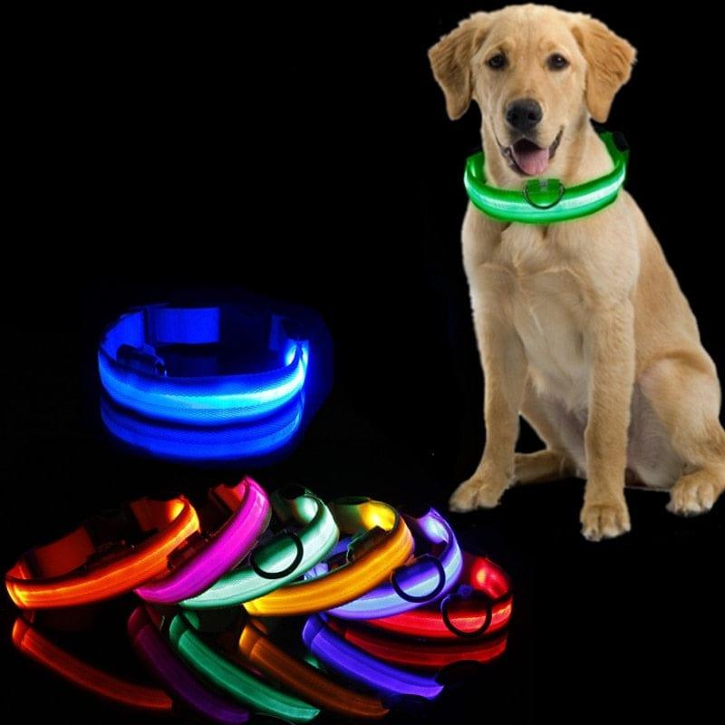 Led Dog Collar Light-Wiggleez-Blue USB charging-XS-Wiggleez