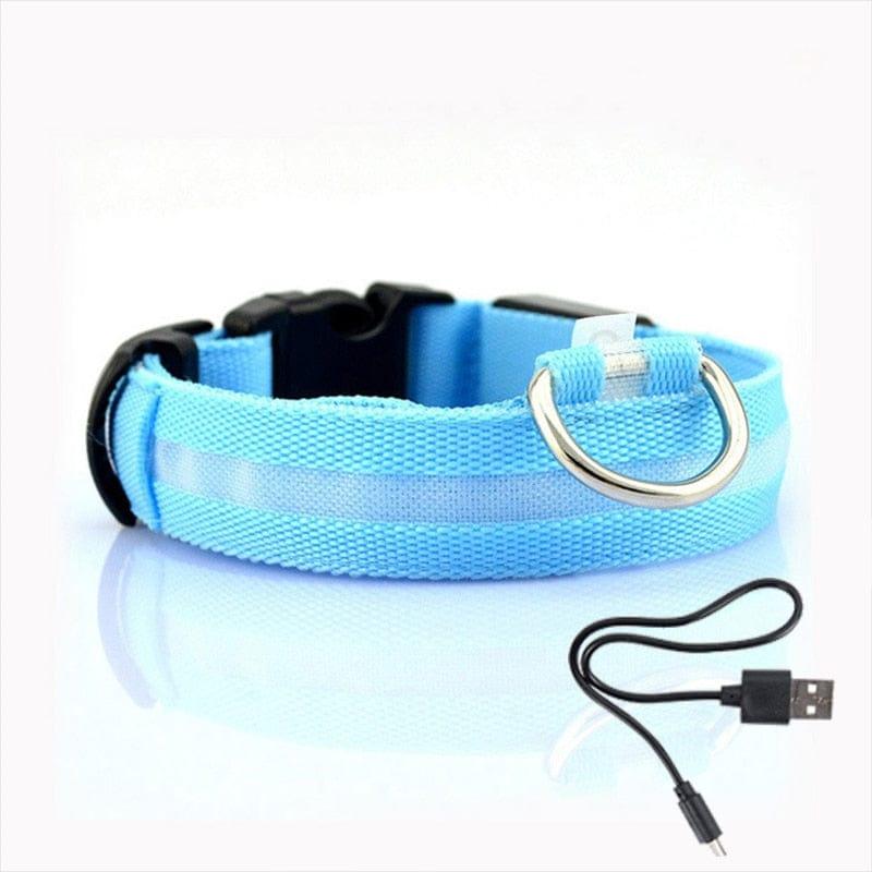 Led Dog Collar Light-Wiggleez-Blue USB charging-XS-Wiggleez