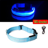 Led Dog Collar Light-Wiggleez-Blue USB charging-XS-Wiggleez