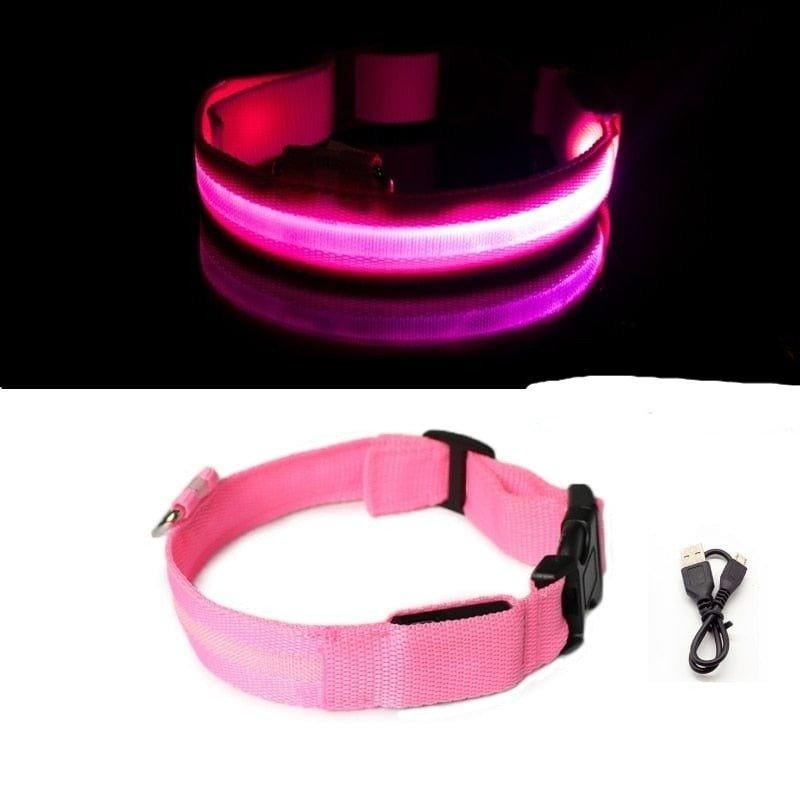 Led Dog Collar Light-Wiggleez-Pink USB charging-XS-Wiggleez